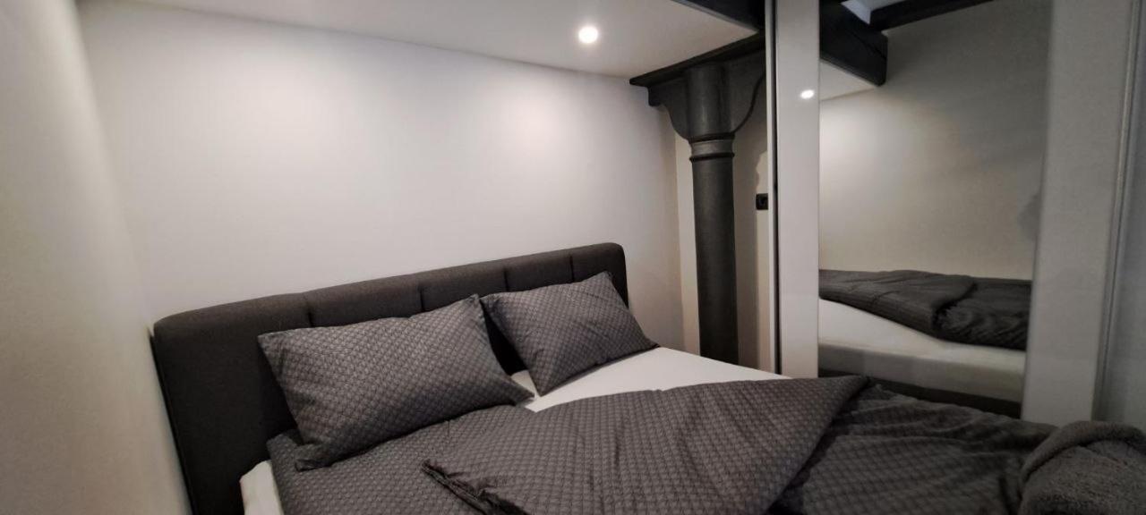 Ljubljana Nest- Centre, Free Parking- Renovated August 2024 Daire Dış mekan fotoğraf