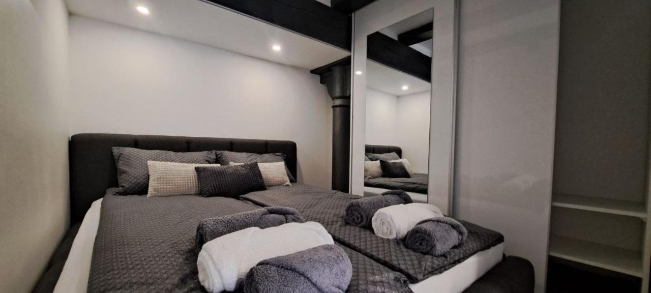Ljubljana Nest- Centre, Free Parking- Renovated August 2024 Daire Dış mekan fotoğraf